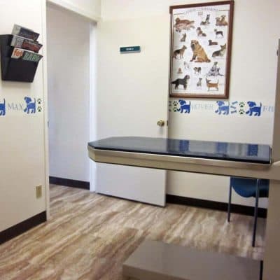 exam room. pictured is an exam table, on wall is dog pictures